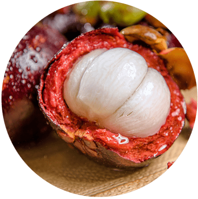 Mangosteen