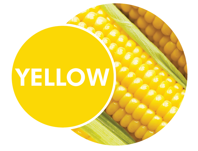 yellow-01