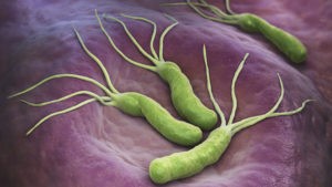 H.pylori Cover