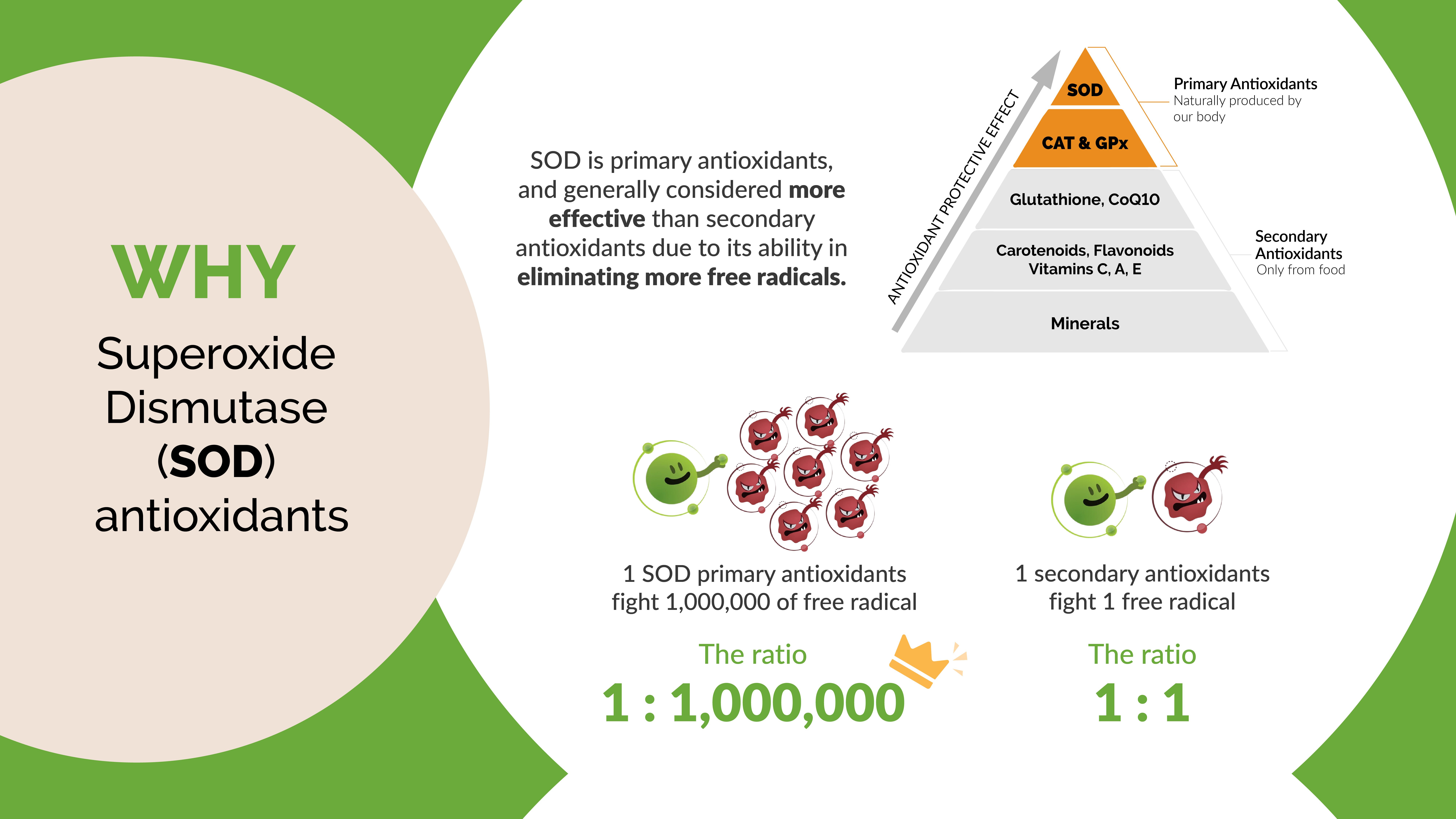 (o2) Supergreen Product Info 10