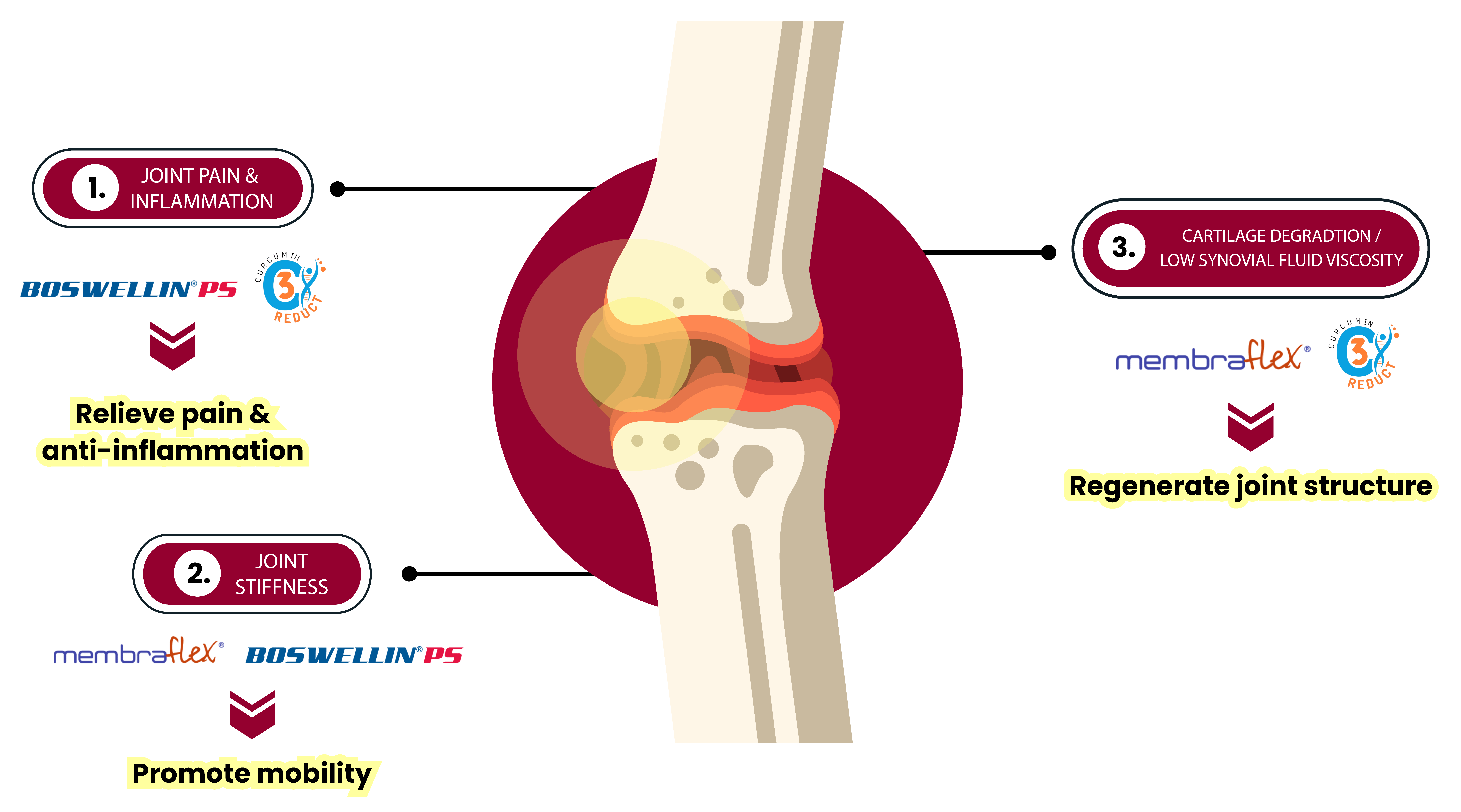 Triple Action Neepair 01