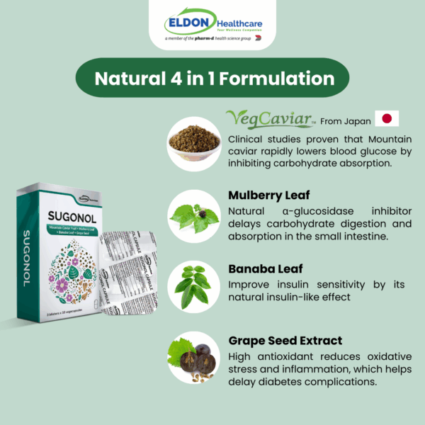 Sugonol contain natural ingredients include vegcaviar mountain caviar mulberry leaf banaba leaf and grape seed extract help lowers blood glucose sugar level natural