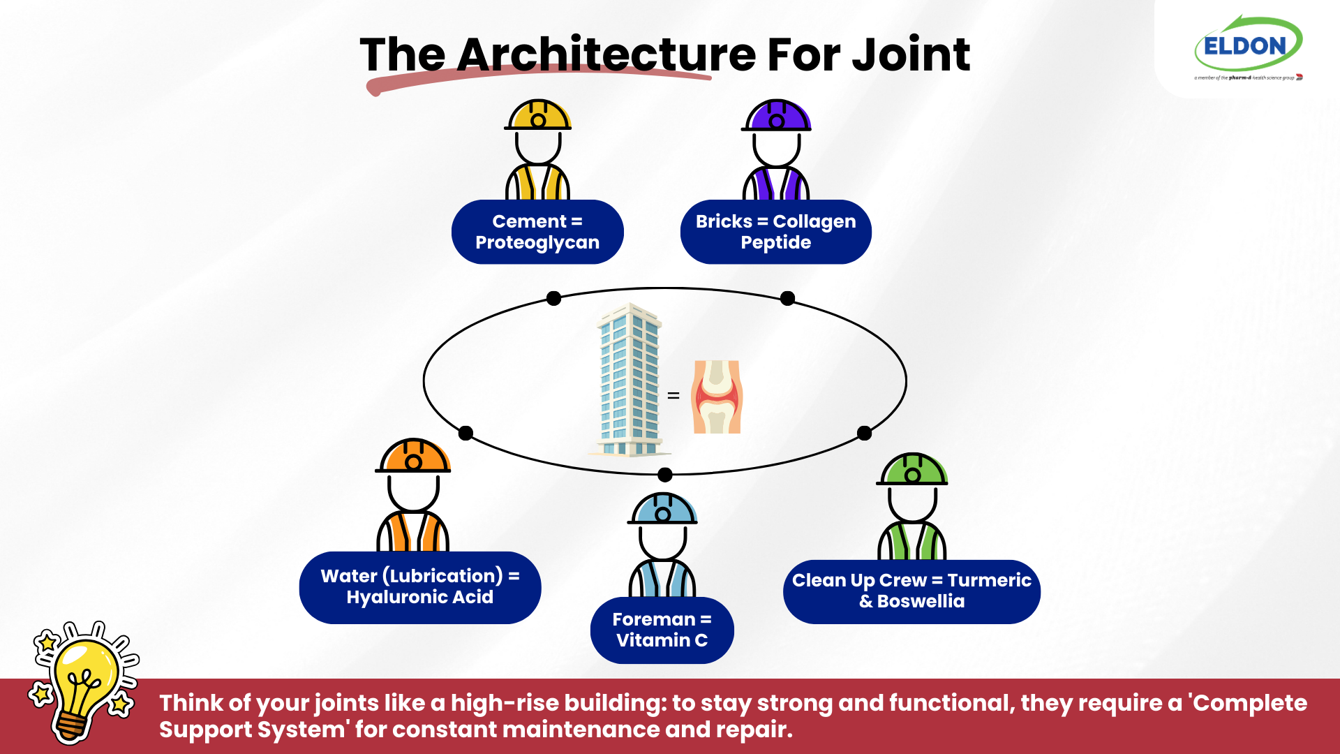 Flexpro is like a construction team for joint, the form a complete joint support system for long-term mobility and daily joint nourishment 