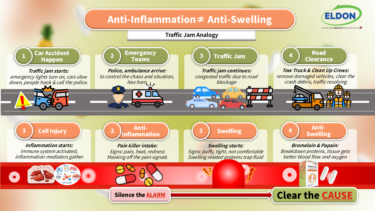 A high-potency dual plant-enzyme recovery formula designed to support swelling reduction and faster recovery.